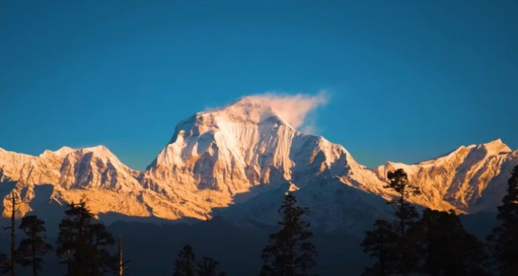 Mohare danda -a peaceful trails