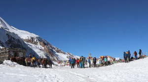 Annapurna Circuit Trek Itinerary: 7, 10, 14 & 21 Days