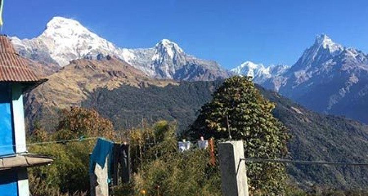 Ghorepani trek 5 days from Pokhara