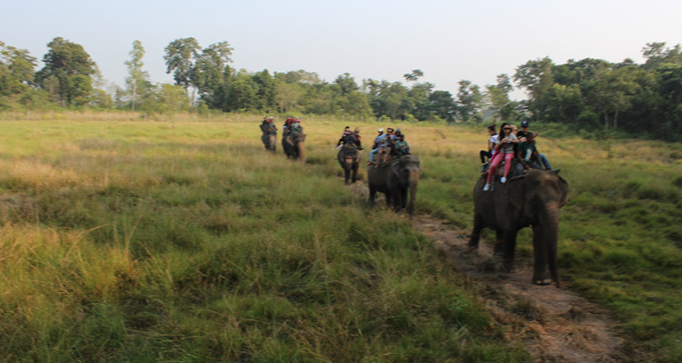 Can I go myself into Chitwan National Park