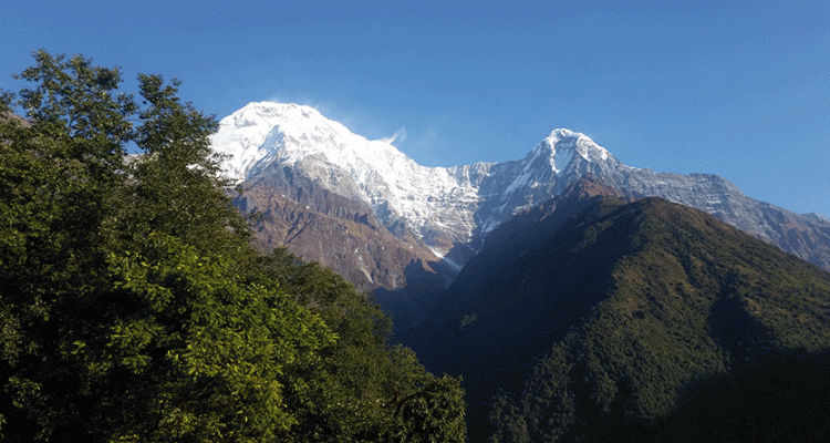 Mardi Himal trek- A complete classic short trek in Annapurna region