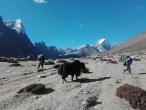 Answers to your Everest base camp trek Questions