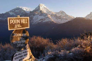 Ghorepani Poon hill Trek- A Comprehensive Guide