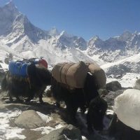Everest high pass trekking