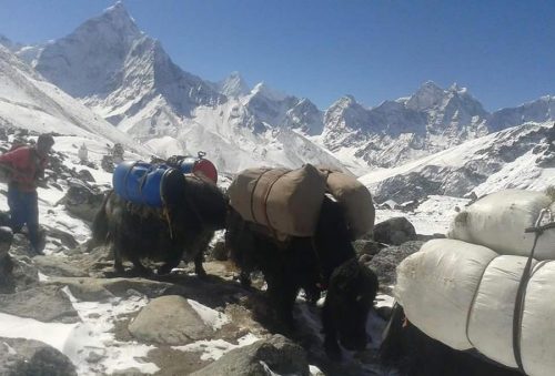Highpasstrek-3 passes everest trek