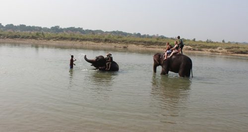 Bardia-wild-life