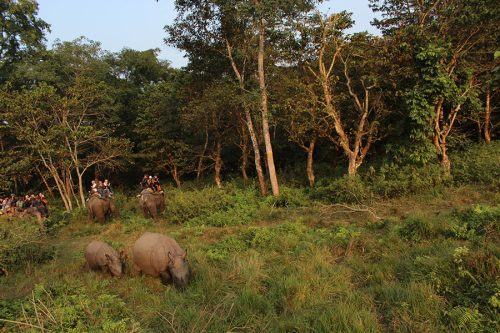 Chitwan jungle asafri tour in nepal