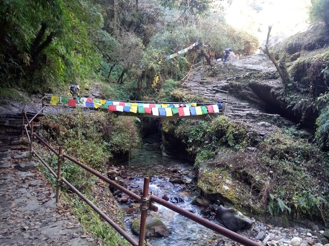 Trekking trails to Ghorepani from Ulleri