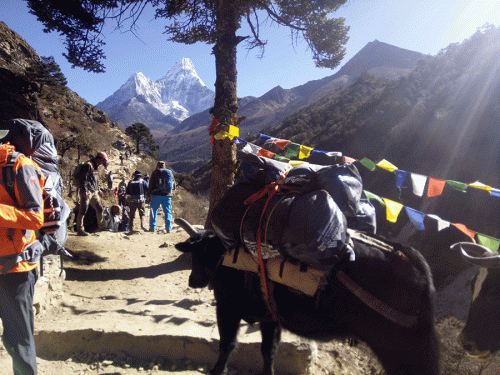 Everest-and-its-beauty