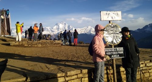 Collage of Nepal’s highlights: sunrise over Poon Hill with Annapurna and Dhaulagiri mountains, trekking through lush green hills, and a thrilling Chitwan jungle safari spotting elephants, rhinos, and exotic birds.