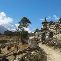 Manaslu Budget trekking 8 days short trek