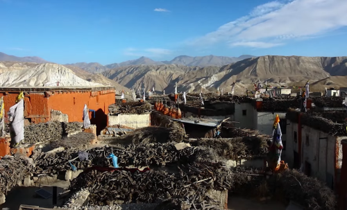 Colourful-Upper-mustang
