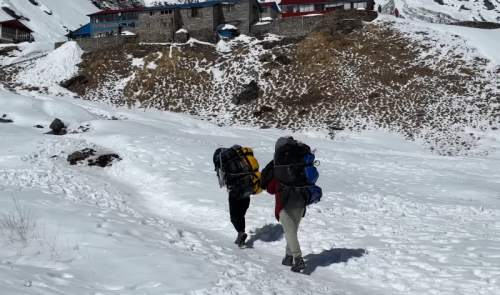 porters-carring-luggage-to-Annapurna-base-camp