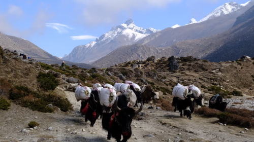 yeaks-in-gokyo-trekking