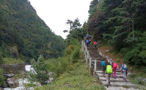 greenery-at-EBC-trek
