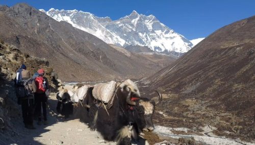 Everest-base-camp-trek-small-group-safe-holiday-adventure