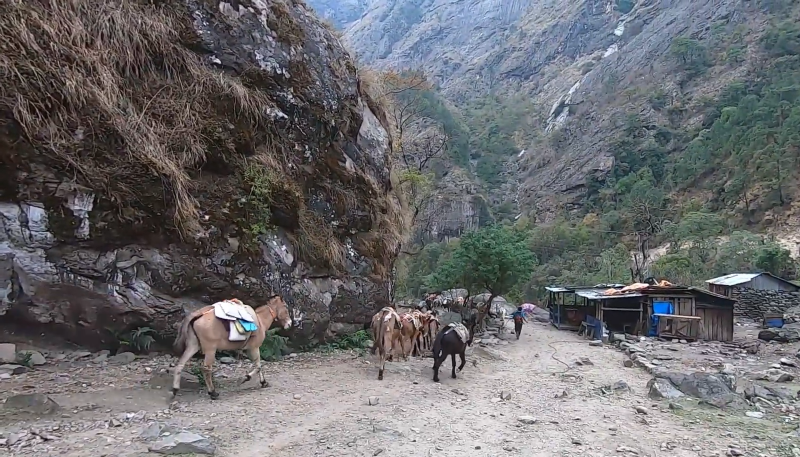 Manaslu circuit trek