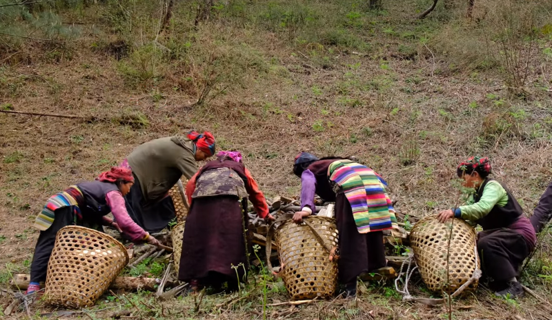 Womens - manalsu trekking