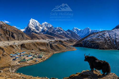 Everest three passs trek - Gokyo Everest