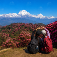 Ghorepani poon hill trek during spring season