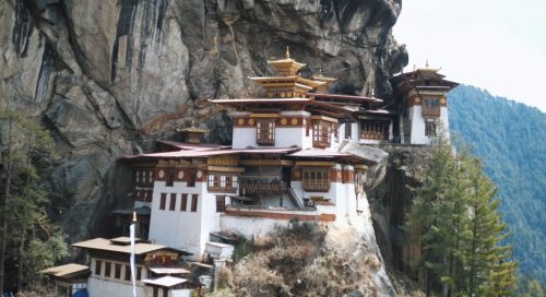 bhutan-tiger-nest