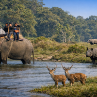 Chitwan jungle safari budget tour