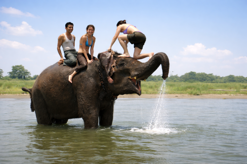 Chitwan Jungle Safari Budget Tour
