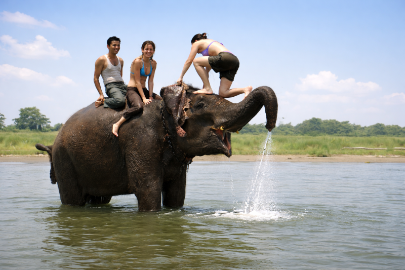 Chitwan Jungle Safari Budget Tour