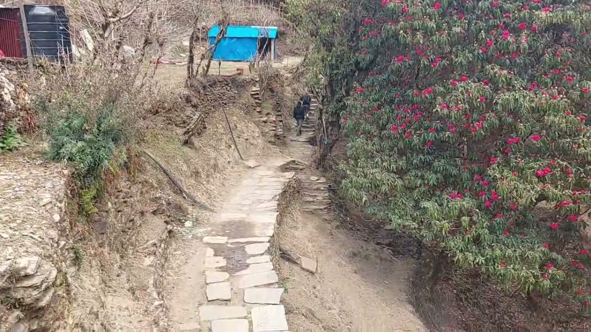 Ghorepani Poon hill Trek