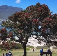 A Safe and Stunning Trek for Our Family