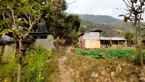 Organic farming in Dhading, Nepal, showing local farmers working in agricultural fields.