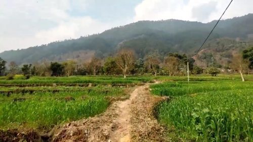 Rural life in Sukaura, Dhading, showing traditional homes and local community activities in Nepal.