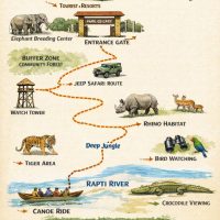 Chitwan Jungle Safari Tour images