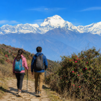 Professional Service and Support from Safe Holiday Adventure Pvt. Ltd.