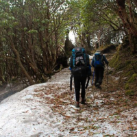 Excellent Trekking Experience – Langtang Ganja La Pass Trek