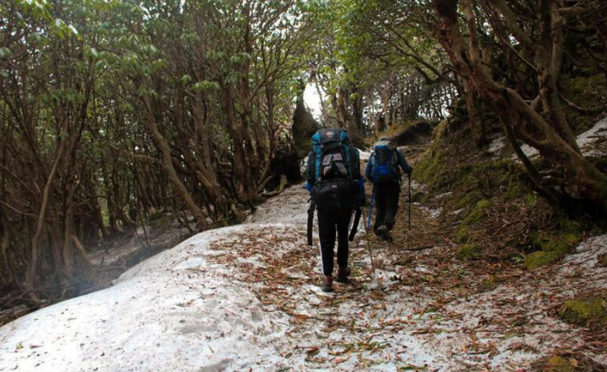 Excellent Trekking Experience – Langtang Ganja La Pass Trek
