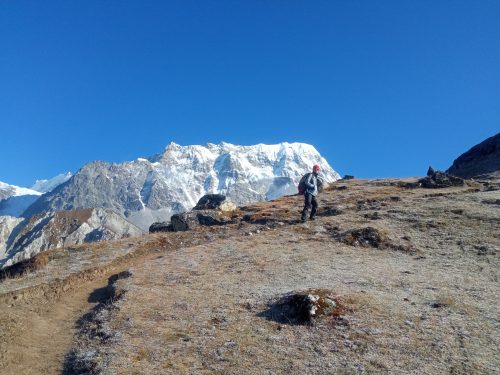 Langtang National Park landscape with snow-covered Himalayan peaks and green forests